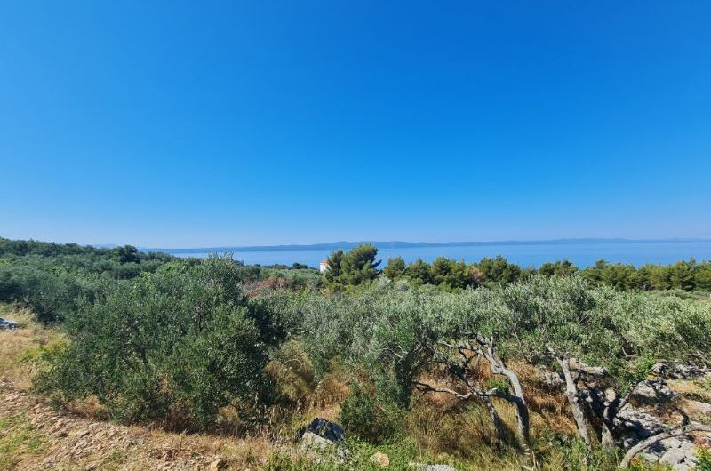 Tučepi, zemljište 2152m2 s otvorenim pogledom na more