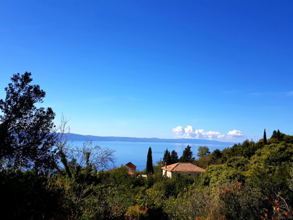 Podgora građevno zemljište 2500m2 s pogledom