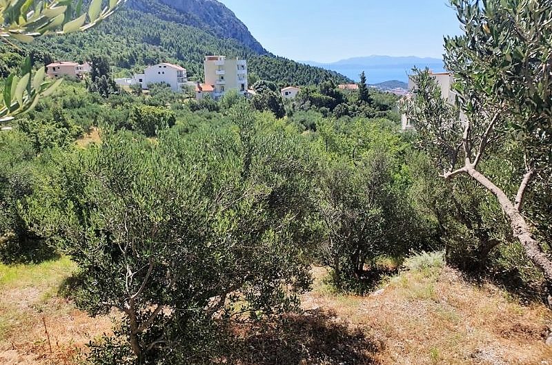 PLOT  959 M2 IN VELIKO BRDO, MAKARSKA