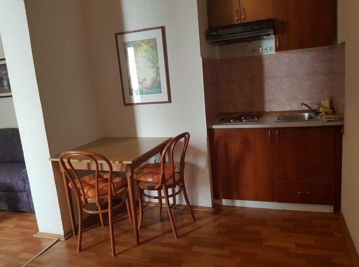 ATTRACTIVE VILLA WITH APARTMENTS NEAR THE BEACH MAKARSKA