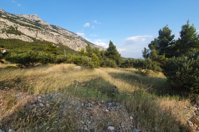Makarska building plot 1597m2