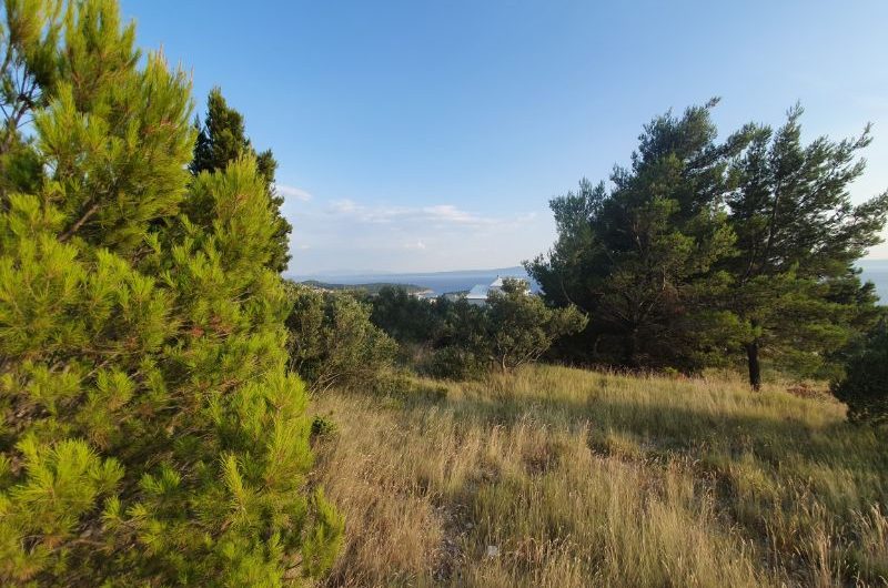 Makarska building plot 1597m2