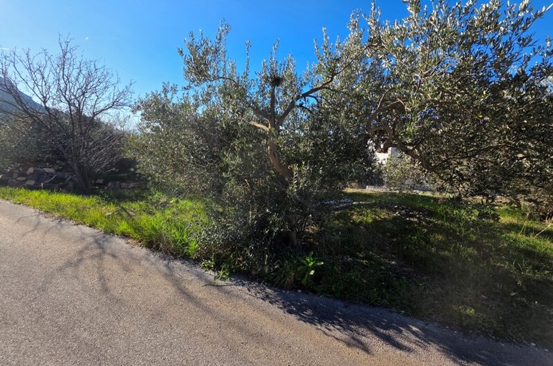 Makarska, zemljište 615m2 s Idejnim projektom