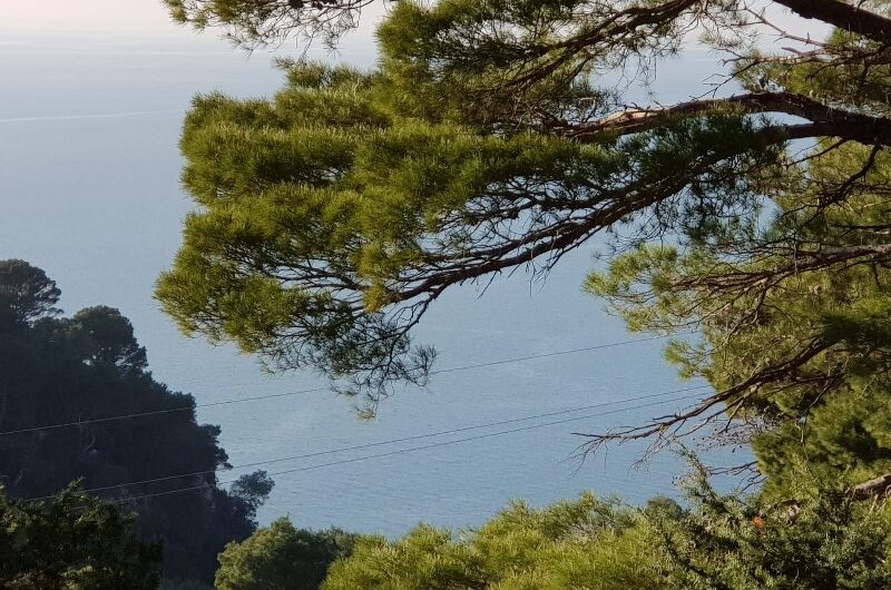 Zemljište površine 541m2 s građevinskom dozvolom za kuću s bazenom