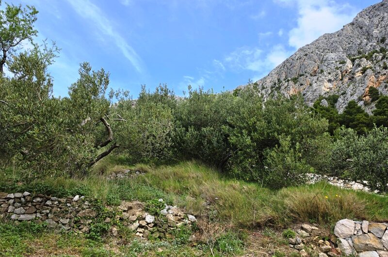 Makarska, zemljište u građevnoj zoni, Kotišina
