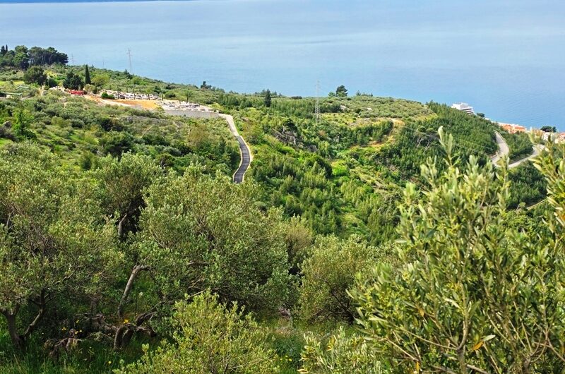 Podgora, zemljište površine 989m2 u građevnoj zoni