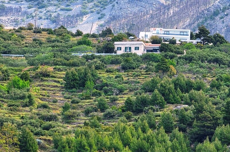 Podgora, zemljište površine 989m2 u građevnoj zoni