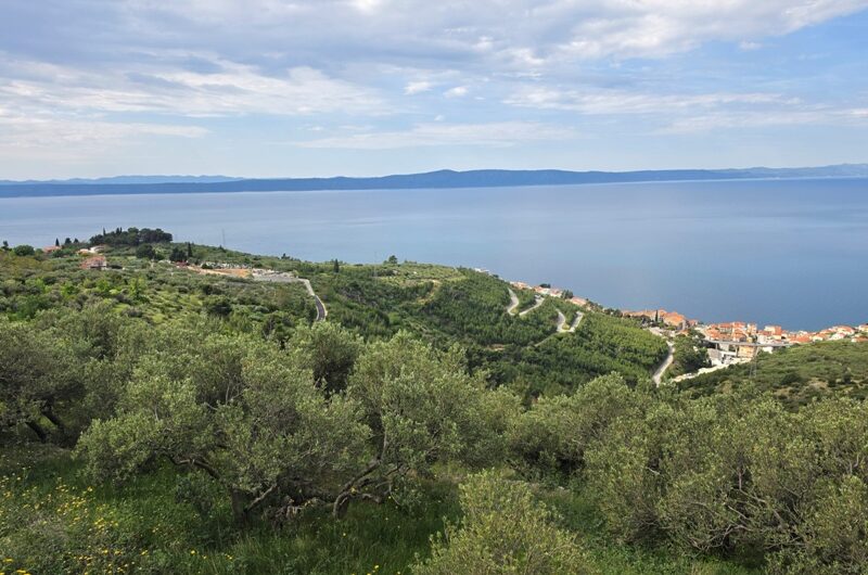 Podgora, zemljište površine 989m2 u građevnoj zoni