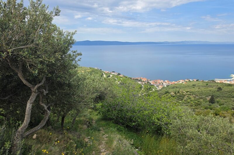 Podgora, zemljište površine 989m2 u građevnoj zoni