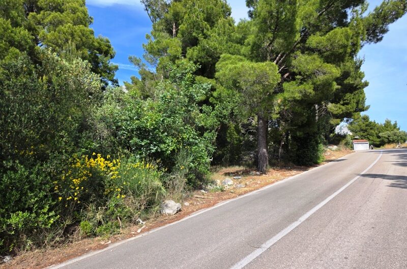 Podgora zemljište blizu mora