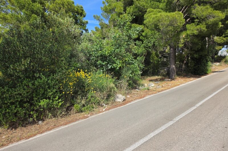 Podgora zemljište blizu mora