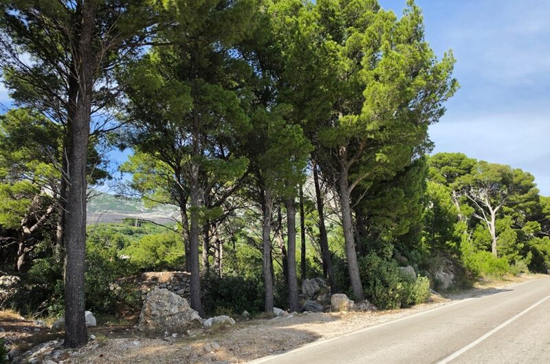 Podgora zemljište blizu mora
