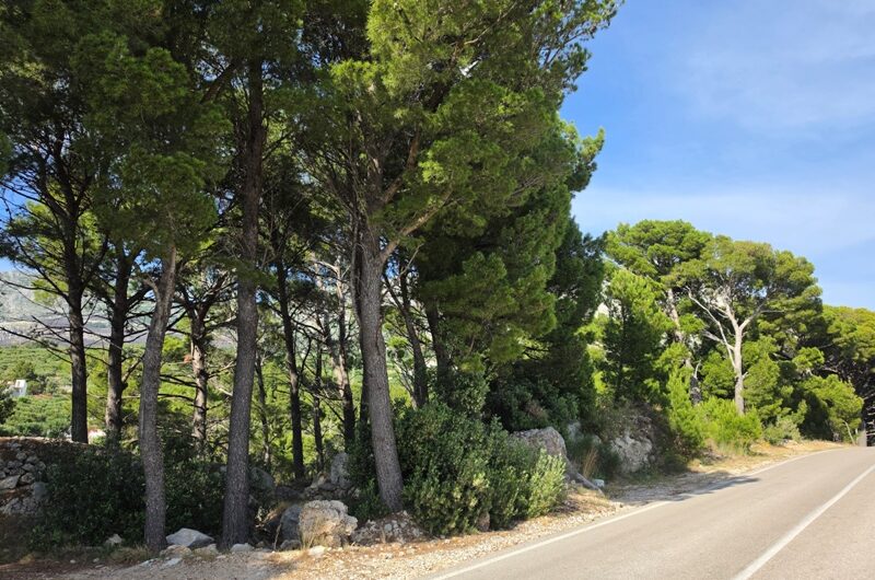 Podgora zemljište blizu mora