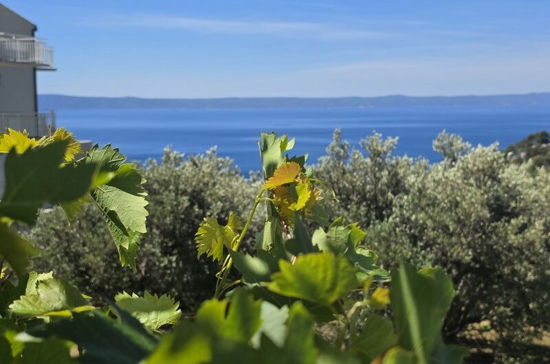 Samostojeća kuća u Velikom brdu, Makarska